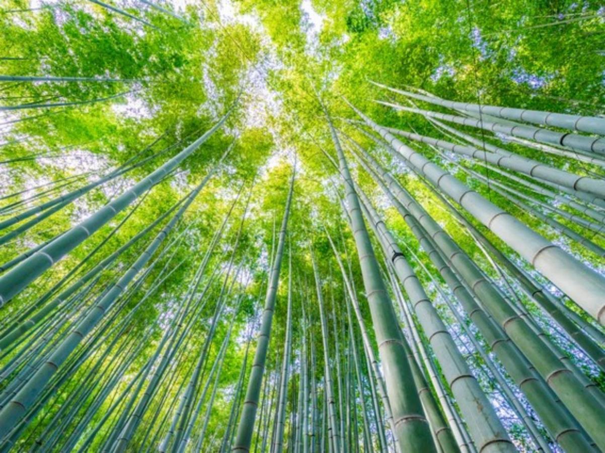 Отель Kamakura Cocon Экстерьер фото