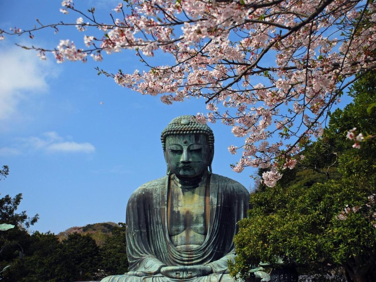 Отель Kamakura Cocon Экстерьер фото